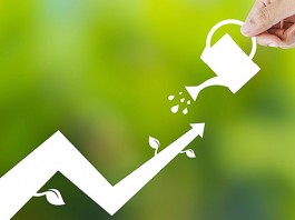 are peer 2 peer companies profitable