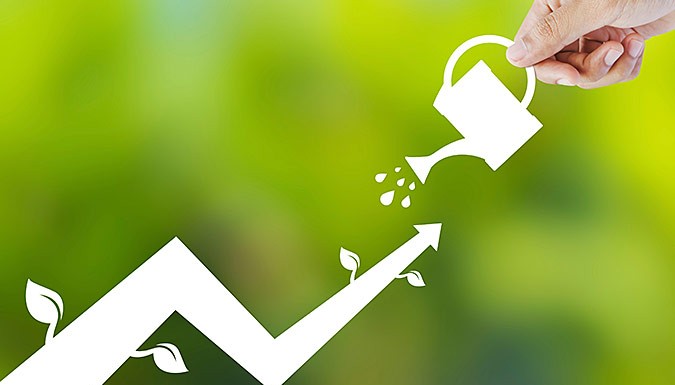 are peer 2 peer companies profitable